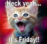 friday2.jpg image by dandytech